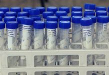 Itaberaba testa profissionais de segurança pública para COVID-19