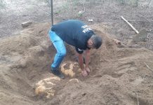 Polícia encontra e apreende 100 kg de maconha enterrados em terreno da zona rural de Ipirá