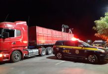 Policia apreende madeira transportadas ilegalmente pela BR-242
