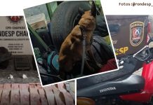 Policia cumpre mandado de prisão, prende traficante em flagrante e recupera moto roubada em Itaberaba