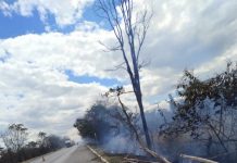 Fogo atinge vegetação na BR-242