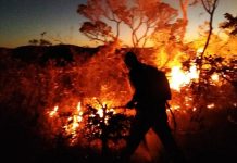 Incêndio atinge área de vegetação em Rio de Contas, na Chapada Diamantina
