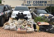 Mais de 160 quilos de maconha são apreendidos em Seabra