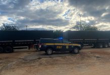 Mais uma carga ilegal de madeira é apreendida na BR-242