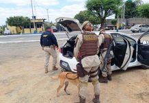 Casal é preso com drogas escondidas em carro após tentar escapar de fiscalização policial em Itaberaba