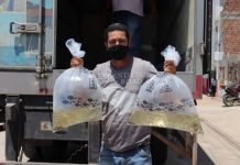 Prefeitura distribui mais 100 mil alevinos em Itaberaba