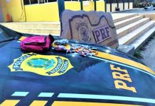 Passageiro de ônibus é preso transportando ‘trouxinhas’ de maconha dentro de bagagem na BR-242