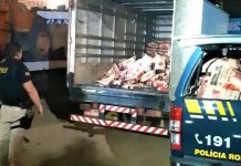 Na Chapada Diamantina, PRF apreende quase 500 sacos de carvão vegetal transportado ilegalmente na BR-242