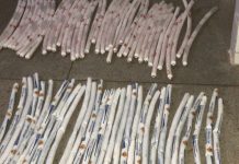 Homem é preso com 70 dinamites em ônibus, na BR-242