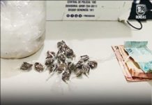 Itaberaba: Rondesp apreende drogas no Brisas da Chapada