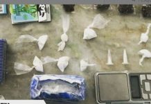 Mulher é presa por trafico de drogas em Itatim