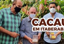 Governo do Estado aposta no desenvolvimento da produção frutícola em Itaberaba