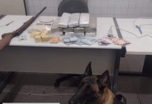 Cadela da Rondesp Chapada localiza drogas escondidas em forno em Itaberaba