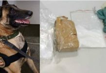 Traficante de drogas é preso em flagrante em Itaberaba