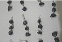 Rondesp prende traficante, na noite desta quarta-feira, em Itaberaba