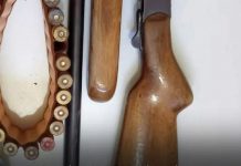 Policia apreende arma e munições em Ipirá