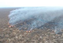 Incêndio é debelado em vegetação perto de pousada, na Chapada Diamantina