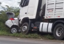 Servidor público morre após batida entre carro e caminhão na BR-242