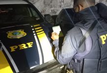 Motorista é preso com documento falso na BR-242