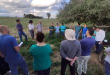 Missão do Banco Mundial visita cooperativa de Abacaxi em Itaberaba