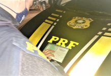 PRF apreende CRLV falso durante abordagem a caminhão em Itaberaba