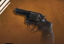 Homem, apontado como autor de diversos homicídios, morre após confronto com RONDESP em Ipirá