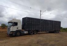 Caminhão boiadeiro vindo do Tocantins é apreendido pela PRF em Itaberaba