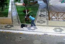 Cachorro é brutalmente agredido à pauladas em Itaberaba