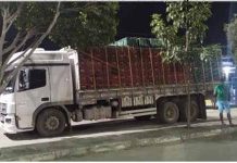 PRF flagra caminhão de hortifruti sem nota fiscal na BR 242, em Itaberaba