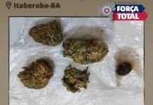 Operação Força Total: Homem é preso em flagrante com drogas na BA-046, em Itaberaba