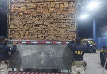 BR-242: PRF realiza apreensão de carga de madeira nativa transportada ilegalmente