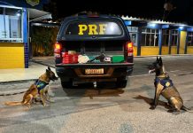 Mulher com criança de colo é flagrada pela PRF transportando submetralhadora e drogas em um ônibus interestadual