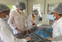 Estudantes do CEEP do Chocolate em Ilhéus produzem ovos de Páscoa para escolas