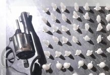 Policia apreende arma e fogo e drogas em Novo Horizonte