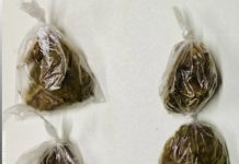 Três homens são presos por tráfico de drogas em Iaçu