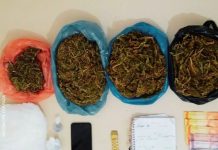 Homem é preso por tráfico de drogas em Ruy Barbosa