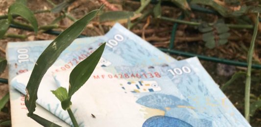 Endividamento e inadimplência do consumidor caem em fevereiro Endividamento e inadimplência do consumidor caem em fevereiro