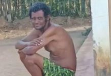 Homem morre após receber cerca de 100 picadas de abelha na Bahia