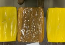 PRF realiza apreensão de 3.2 kg de cocaína em ônibus na BR 242