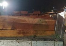 PRF apreende caminhão transportando carga de madeira sem documentação válida