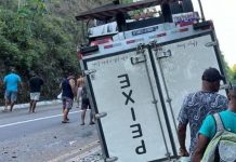 Caminhão com carga de peixes tomba em trecho da BR-101