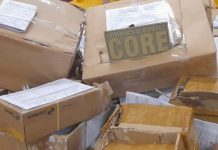 Cogumelos alucinógenos e outros entorpecentes são apreendidos em encomendas dos Correios