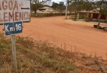 Ataque de abelhas em Vitória da Conquista mata uma pessoa e deixa vários feridos