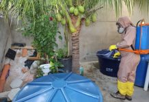 Bahia registra 18 mortes por dengue em 2024