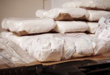 PF prende duas colombianas com cerca de 10 kg de cocaína