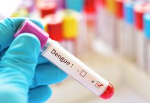 Brasil se aproxima de 2 milhões de casos de dengue