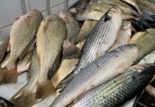 Mercado popular de Salvador vai funcionar por 35 horas em ‘viradão’ da Semana Santa; veja horários