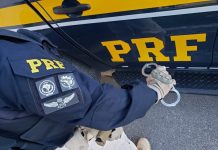 Embriagado e com um mandado de prisão em aberto, homem é preso após se envolver em acidente na BR-242