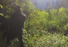 Foragido da Justiça é preso após invadir área de segurança de presídio em Salvador