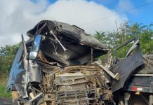 Motorista de ônibus morre em batida com caminhão